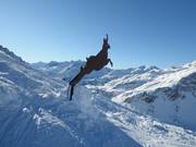 Le « Gamssprung » à Schröcken