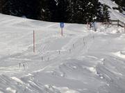 Babylift Kreuzkapelle - Télécorde/remonte-pente à câbles bas