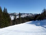 Piste de liaison facile n° 36 vers Høgegga