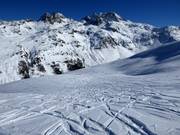 Pentes de poudreuse à Splügen