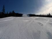 Piste Kvita