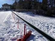 Lepre Bianca - Tapis roulant/Moving Carpet