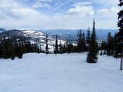 Piste Comet dans la zone Black Forest