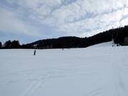Piste Oberwilhams