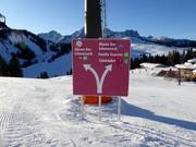 Signalisation sur les pistes