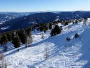 Traces dans la poudreuse