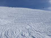 Neige poudreuse au Metschstand