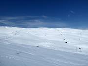 Zone freeride entre les remontées Vinkelliften et Nordalsliften