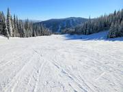 Large et facile piste Smile