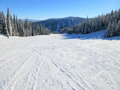 Diversité des pistes Plateau intérieur – Diversité des pistes Sun Peaks
