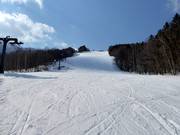 Piste intermédiaire Training