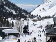 Remontée de liaison dans la vallée entre Wildcat et Albion Base