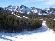 Magnifiques descentes à travers la forêt au June Mountain