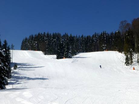 Dreisamtal: Taille des domaines skiables – Taille Haldenköpfle