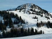 Piste Grubhörndl Standard