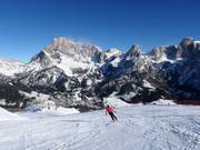 Vue depuis Tognola vers le Cimon della Pala