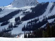 Vue sur les pistes à bosses dans le domaine skiable de Kicking Horse