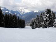 Descente typique au Mont Lachat