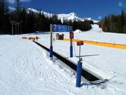 Tapis roulant et espace enfants Mini Moose