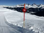 Marquages des pistes