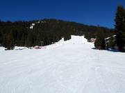 Espace d'entraînement à Königsleiten au téléski Märchenwaldlift