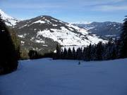 Piste noire au télésiège Karbachalmbahn