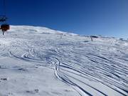 Descentes en poudreuse au Lastè