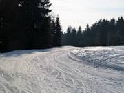 Piste de ski de fond à la Bleamlalm