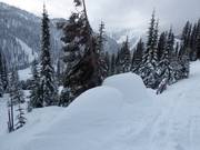 Assez de neige naturelle dans le domaine skiable Whitewater