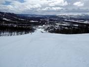 Piste n° 28 Fjällforsbacken