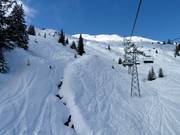 Zone freeride vers Curnius