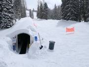 Zone d'entraînement au tapis roulant Caterpillar