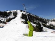 Enneigement complet à Pal-Arinsal