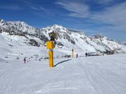 Enneigement Eisjochzunge