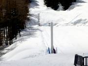 Gaudissart - Télécorde/remonte-pente à câbles bas