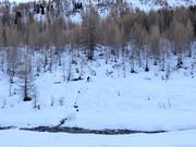 Piste de ski de fond Lazinser Tal