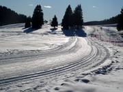 Piste de ski de fond à Madonna di Campiglio