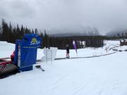 Sunny Side 3 - Tapis roulant/Moving Carpet