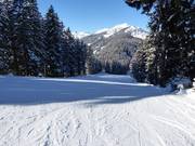 Descente facile du Sattel