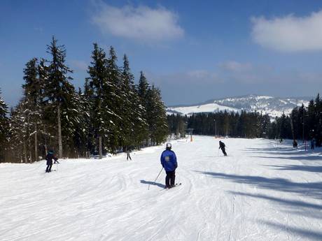 Diversité des pistes Dreisamtal – Diversité des pistes Haldenköpfle