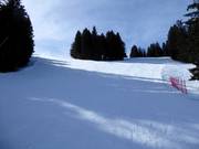 Pistes forestières faciles au Chuenisbärgli à Adelboden