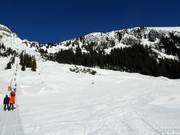 Pistes de difficulté moyenne dans la partie supérieure du Thaneller