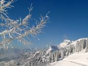Station supérieure Brauneck