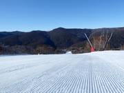 Très bonne préparation des pistes dans le domaine skiable de Thredbo