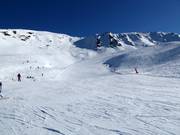 Piste difficile Faucons