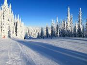 Piste facile Cahilty