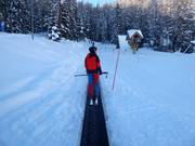 Tapis magique Gallisches Skidorf