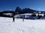 Zone débutants au téléski Ludy