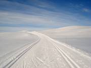 Piste de ski de fond au Skeikampen à 1123 m