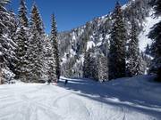 Piste 24 dans la vallée de Nova